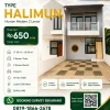TYPE-HALIMUN.webp Type Halimun